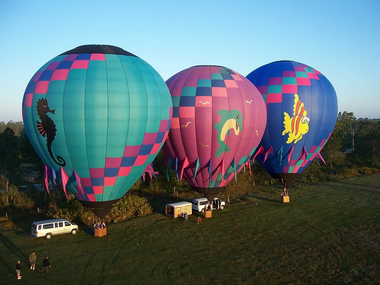Three hot air balloons inflating before a morning flight near Orlando