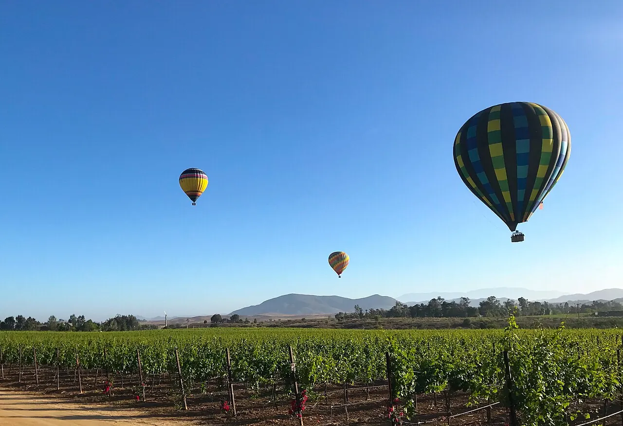 Hot air balloons drifting over vineyards in Temecula wine country