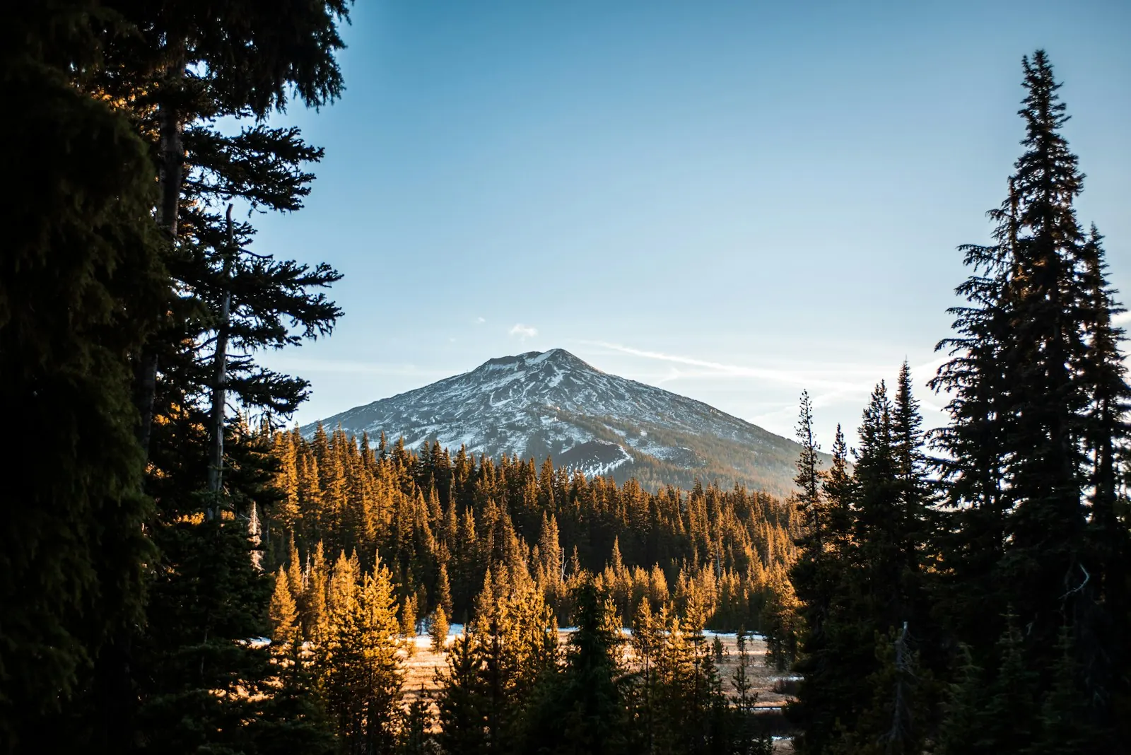 Mount Bachelor seen from the forest near Bend