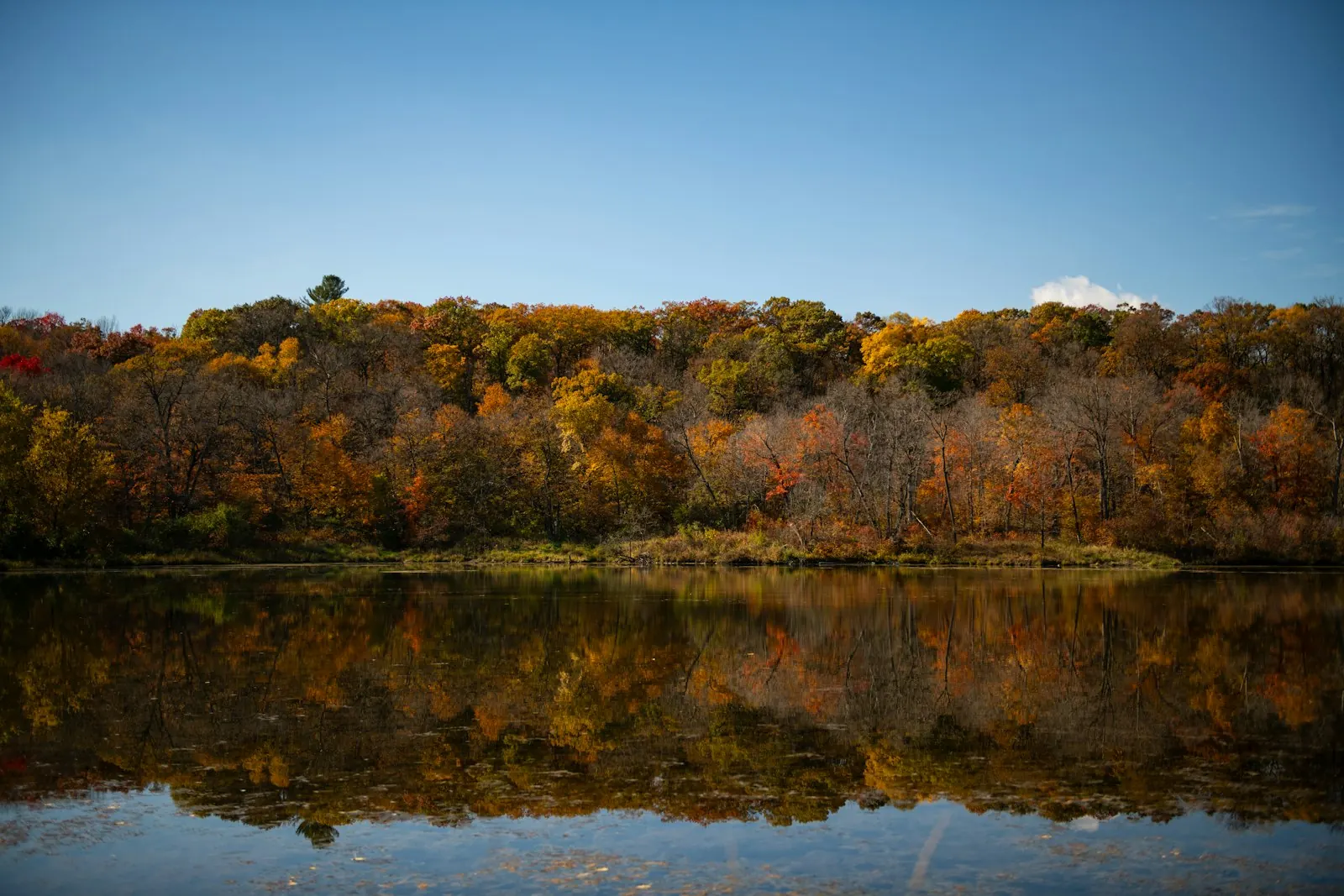 Autumn color along the St. Croix River at Stillwater