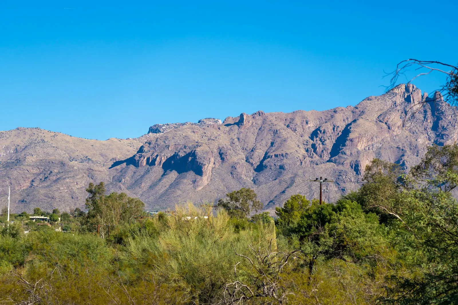 Mountains rising above the desert in Tucson